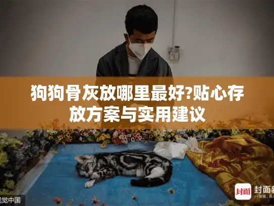 狗狗骨灰放哪里最好?贴心存放方案与实用建议
