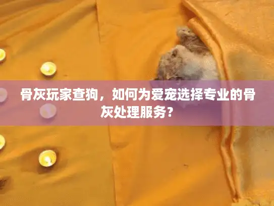 骨灰玩家查狗，如何为爱宠选择专业的骨灰处理服务？