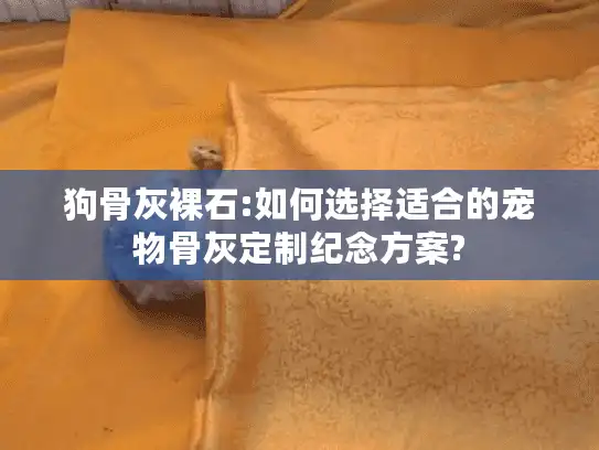 狗骨灰裸石:如何选择适合的宠物骨灰定制纪念方案?