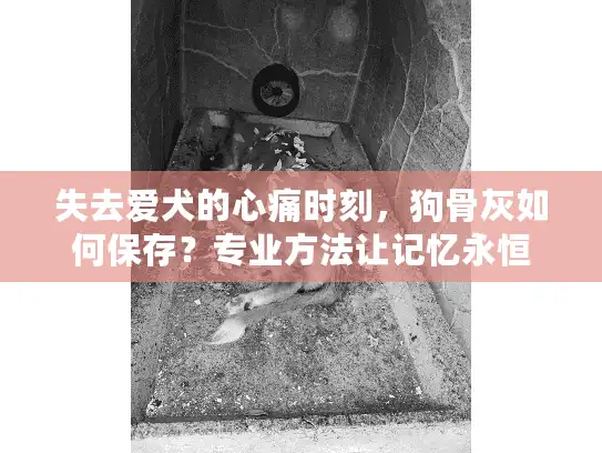 失去爱犬的心痛时刻，狗骨灰如何保存？专业方法让记忆永恒