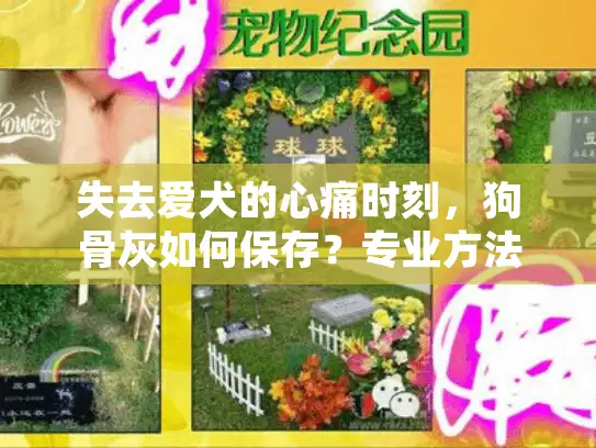 失去爱犬的心痛时刻，狗骨灰如何保存？专业方法让记忆永恒