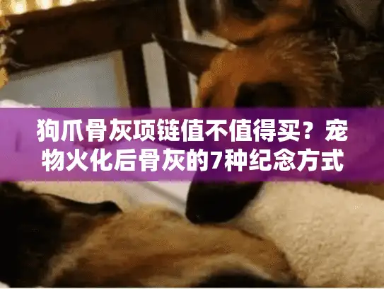 狗爪骨灰项链值不值得买？宠物火化后骨灰的7种纪念方式解析