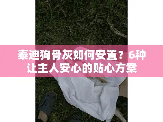 泰迪狗骨灰如何安置？6种让主人安心的贴心方案