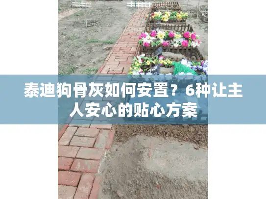 泰迪狗骨灰如何安置？6种让主人安心的贴心方案