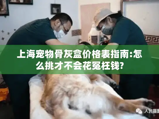 上海宠物骨灰盒价格表指南:怎么挑才不会花冤枉钱?