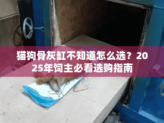 猫狗骨灰缸不知道怎么选？2025年饲主必看选购指南