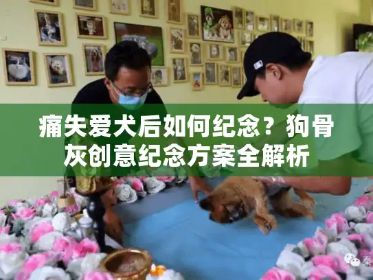 痛失爱犬后如何纪念？狗骨灰创意纪念方案全解析