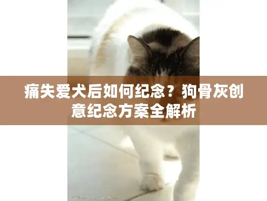 痛失爱犬后如何纪念？狗骨灰创意纪念方案全解析
