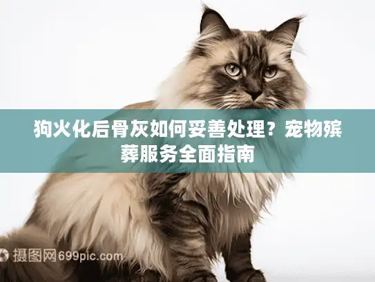 狗火化后骨灰如何妥善处理？宠物殡葬服务全面指南