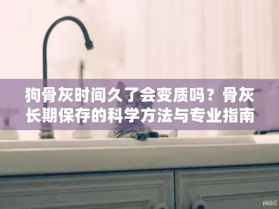 狗骨灰时间久了会变质吗？骨灰长期保存的科学方法与专业指南