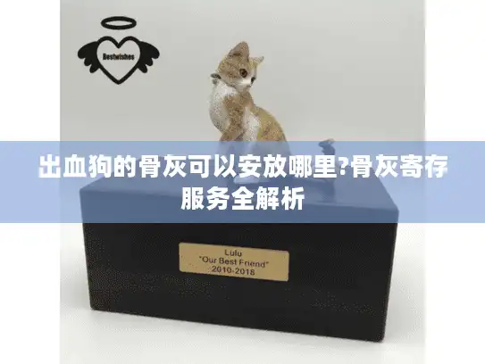 出血狗的骨灰可以安放哪里?骨灰寄存服务全解析