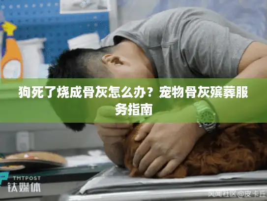 狗死了烧成骨灰怎么办？宠物骨灰殡葬服务指南
