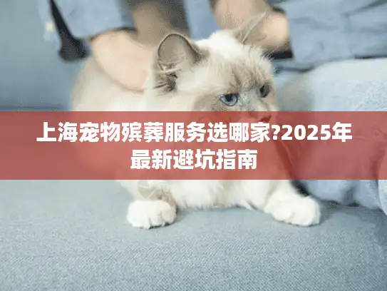 上海宠物殡葬服务选哪家?2025年最新避坑指南