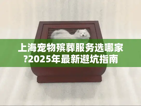 上海宠物殡葬服务选哪家?2025年最新避坑指南