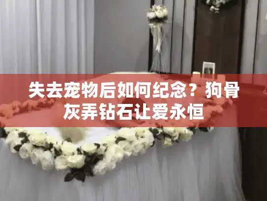 失去宠物后如何纪念？狗骨灰弄钻石让爱永恒