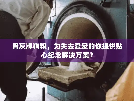 骨灰牌狗粮，为失去爱宠的你提供贴心纪念解决方案？
