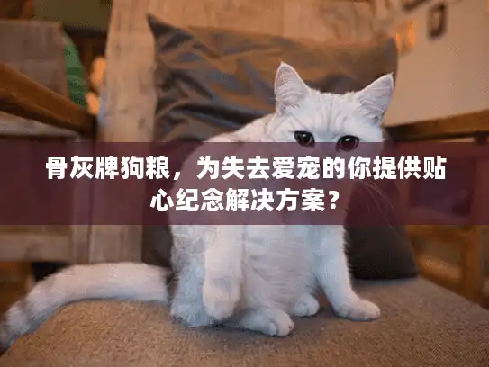 骨灰牌狗粮，为失去爱宠的你提供贴心纪念解决方案？