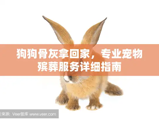 狗狗骨灰拿回家，专业宠物殡葬服务详细指南
