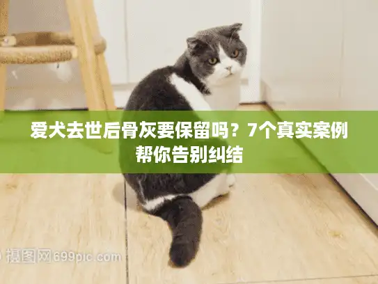 爱犬去世后骨灰要保留吗？7个真实案例帮你告别纠结