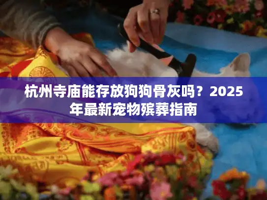 杭州寺庙能存放狗狗骨灰吗？2025年最新宠物殡葬指南