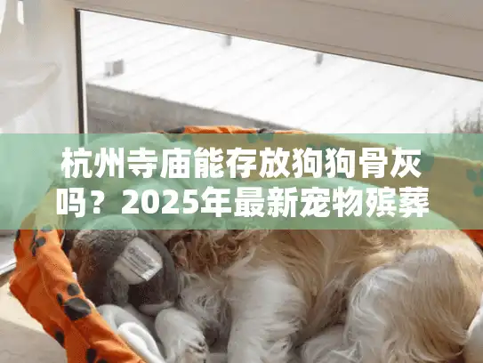 杭州寺庙能存放狗狗骨灰吗？2025年最新宠物殡葬指南