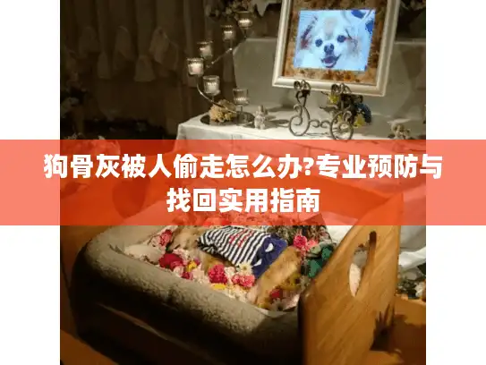 狗骨灰被人偷走怎么办?专业预防与找回实用指南
