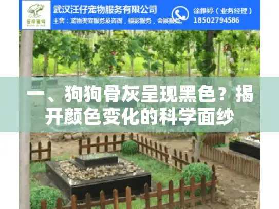 一、狗狗骨灰呈现黑色？揭开颜色变化的科学面纱