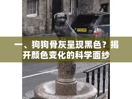 一、狗狗骨灰呈现黑色？揭开颜色变化的科学面纱