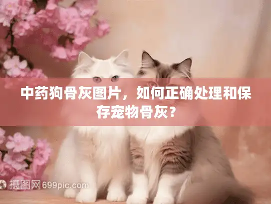 中药狗骨灰图片，如何正确处理和保存宠物骨灰？