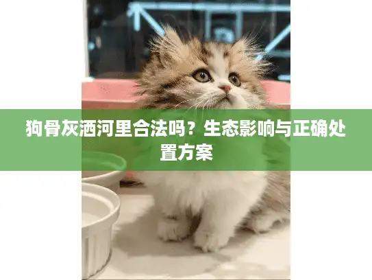狗骨灰洒河里合法吗？生态影响与正确处置方案