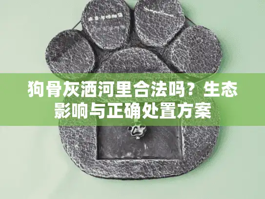 狗骨灰洒河里合法吗？生态影响与正确处置方案