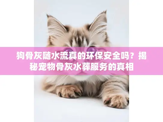 狗骨灰随水流真的环保安全吗？揭秘宠物骨灰水葬服务的真相