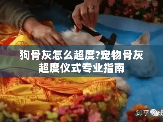 狗骨灰怎么超度?宠物骨灰超度仪式专业指南