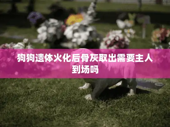 狗狗遗体火化后骨灰取出需要主人到场吗