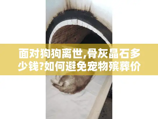 面对狗狗离世,骨灰晶石多少钱?如何避免宠物殡葬价格陷阱?