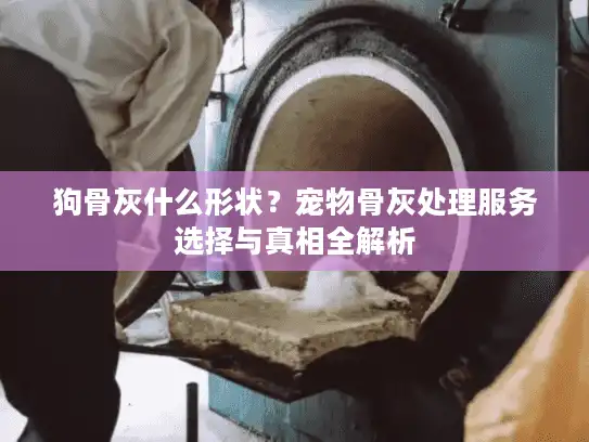 狗骨灰什么形状？宠物骨灰处理服务选择与真相全解析