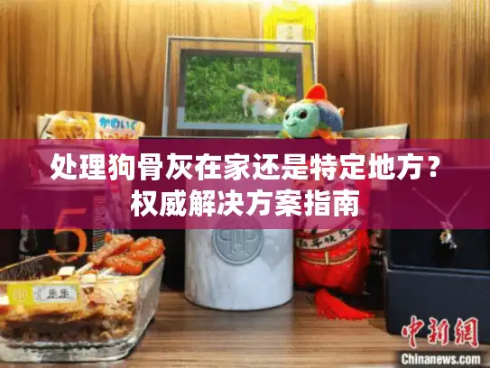 处理狗骨灰在家还是特定地方？权威解决方案指南