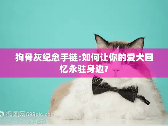 狗骨灰纪念手链:如何让你的爱犬回忆永驻身边?