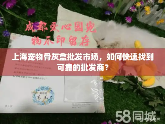 上海宠物骨灰盒批发市场，如何快速找到可靠的批发商？
