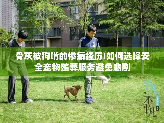 骨灰被狗啃的惨痛经历!如何选择安全宠物殡葬服务避免悲剧