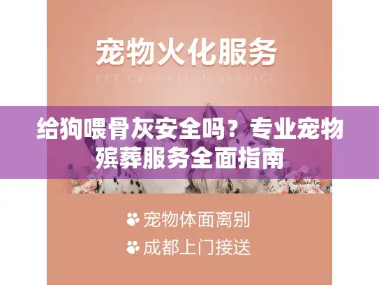 给狗喂骨灰安全吗？专业宠物殡葬服务全面指南