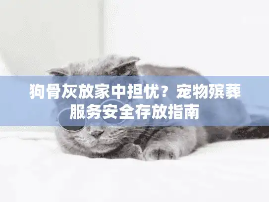 狗骨灰放家中担忧？宠物殡葬服务安全存放指南