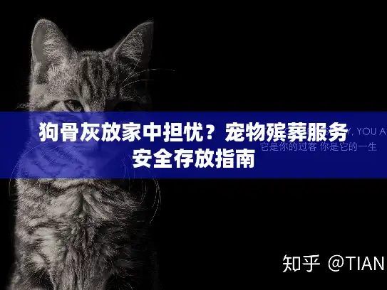 狗骨灰放家中担忧？宠物殡葬服务安全存放指南