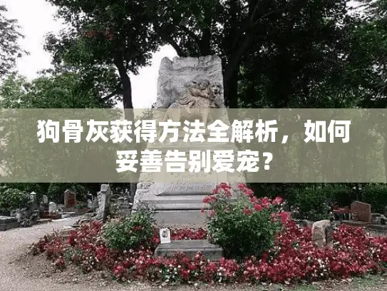 狗骨灰获得方法全解析，如何妥善告别爱宠？