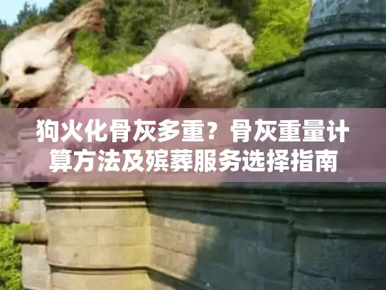 狗火化骨灰多重？骨灰重量计算方法及殡葬服务选择指南