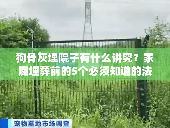 狗骨灰埋院子有什么讲究？家庭埋葬前的5个必须知道的法律风险