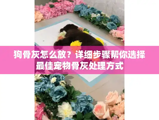 狗骨灰怎么放？详细步骤帮你选择最佳宠物骨灰处理方式
