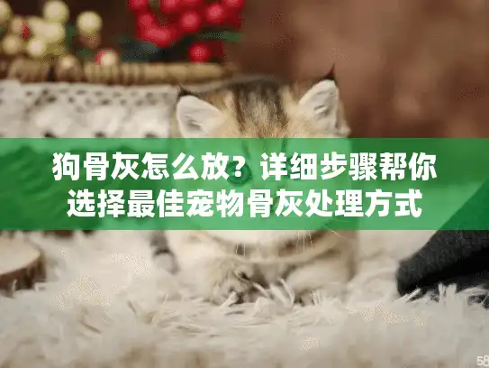 狗骨灰怎么放？详细步骤帮你选择最佳宠物骨灰处理方式