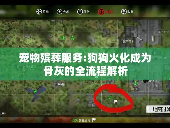 宠物殡葬服务:狗狗火化成为骨灰的全流程解析