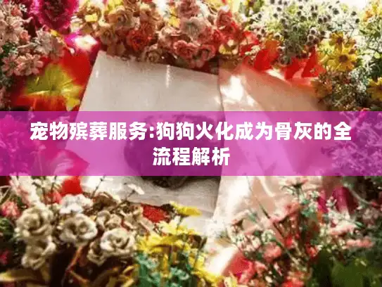 宠物殡葬服务:狗狗火化成为骨灰的全流程解析